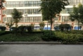 园中苑户型图实景图
