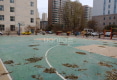 省农业技术推广总站家属院户型图实景图