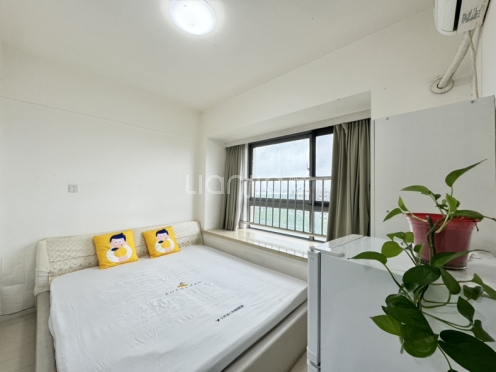 整租·联合广场 1室1厅 北