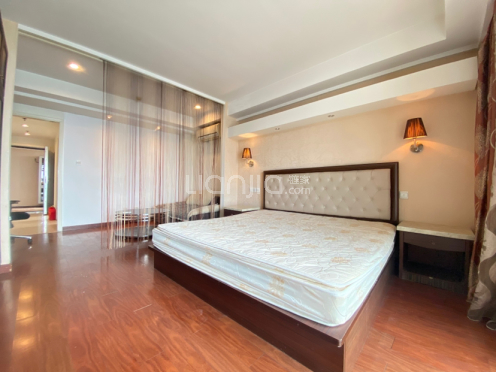 整租·雅都大厦 1室1厅 南