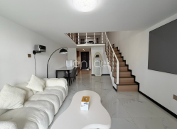 整租·智业阳曦 1室1厅 跃层 西北_智业阳曦租房