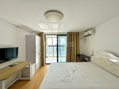 整租·苏州星健中心 2室2厅 南