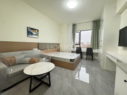 整租·置信逸都城 1室1厅 南