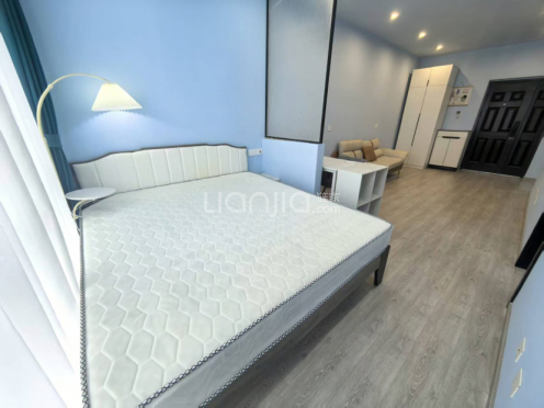 整租·洲际健康城 1室1厅 东南