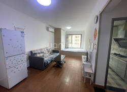 整租·金地翔悦天下 1室0厅 南_金地翔悦天下租房