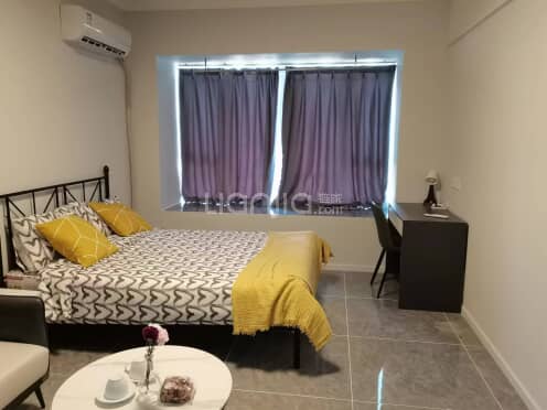 整租·明信城C区 1室1厅 西南