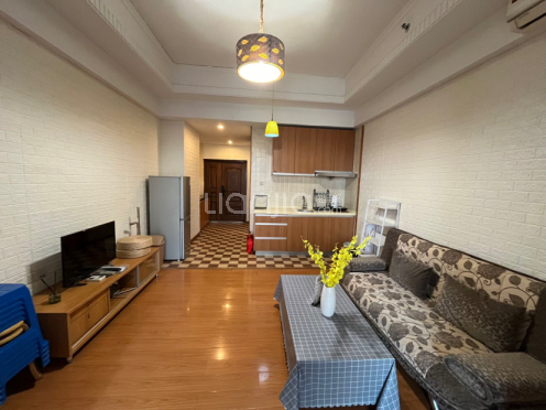 整租·赛格公寓 1室1厅 南