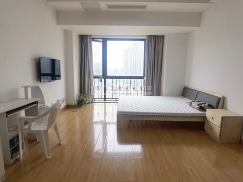 整租·海尚壹品 1室1厅 南