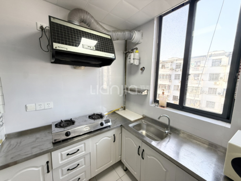 整租·南门城根 1室1厅 东南