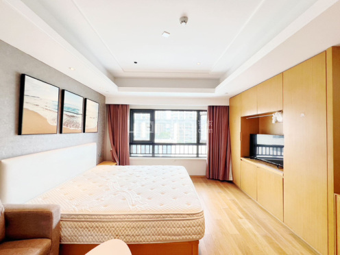 整租·中锐星汇生活广场 1室1厅 北