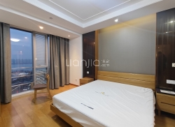 整租·中新星湖公馆 1室2厅 西南_中新星湖公馆租房