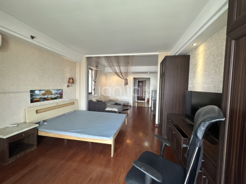 整租·雅都大厦 1室1厅 东