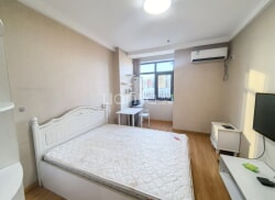 整租·南北盛德国际 1室1厅 南_南北盛德国际租房