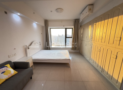 整租·合景领峰 1室1厅 西_合景领峰租房