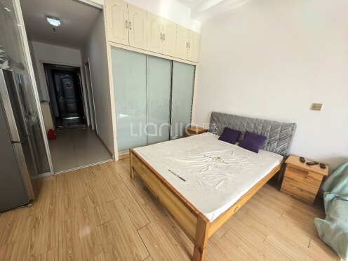 整租·领峯国际 1室1厅 南