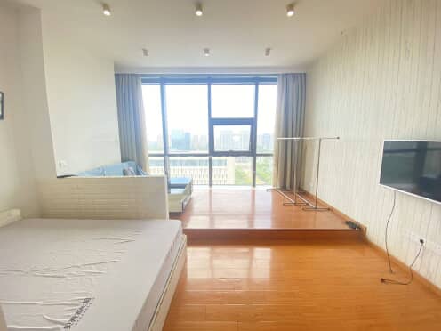 整租·吴江财智金鹰商业中心 1室1厅 南