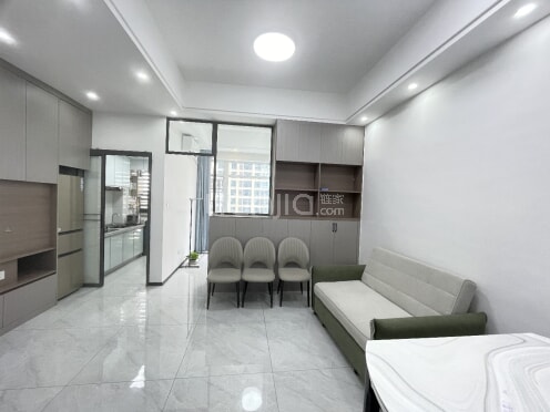 整租·洲际健康城 1室1厅 东南