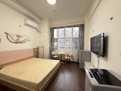 整租·吾家花苑 1室0厅 东南