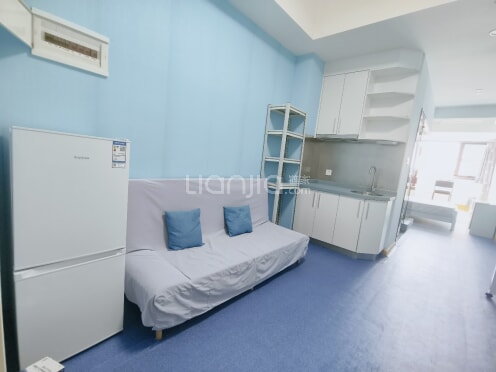 整租·智慧广场 1室1厅 西