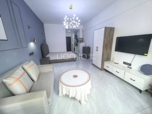 整租·明信城C区 1室1厅 东