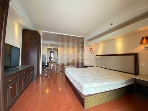 整租·雅都大厦 1室1厅 南