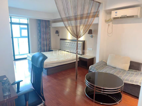 整租·雅都大厦 1室1厅 南