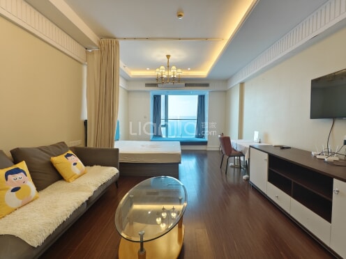 整租·云玺湖滨 1室1厅 西