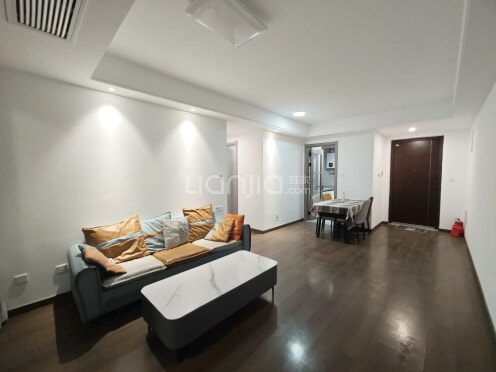 整租·湖东未来 3室2厅 南