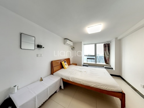 整租·星光耀商务中心 1室1厅 北