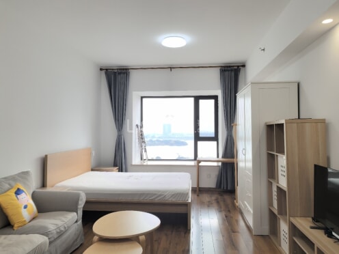 整租·保利悦公馆 1室1厅 南