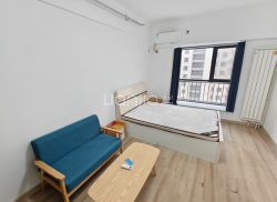 整租·鑫恒广场 1室1厅 南_鑫恒广场租房