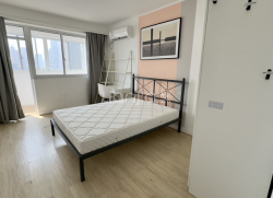 整租·开发浦东 3室0厅 南_开发浦东租房