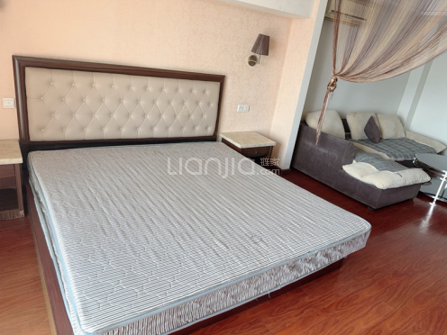 整租·雅都大厦 1室1厅 东