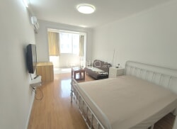 整租·凌云新村 1室1厅 南_凌云新村租房