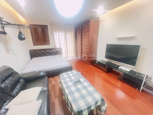 整租·双冠南门商业广场 1室1厅 南