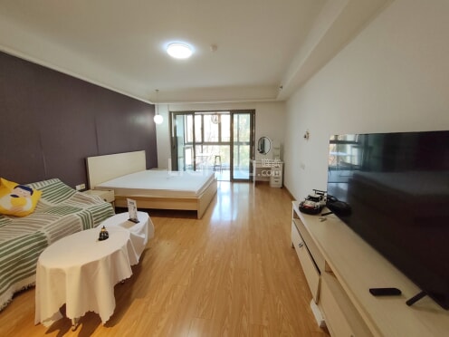 整租·芳邻太湖天城公寓区 1室1厅 南