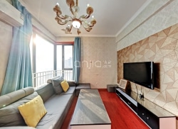 整租·天朗蓝湖树 2室2厅 南_天朗蓝湖树租房