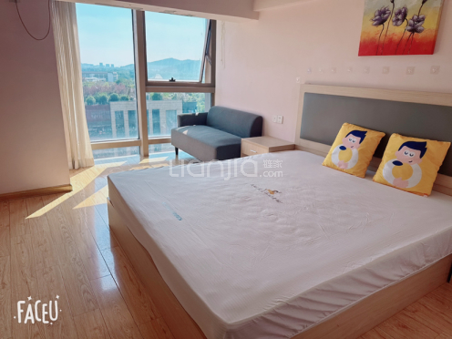 整租·苏州世茂广场（姑苏） 1室1厅 南