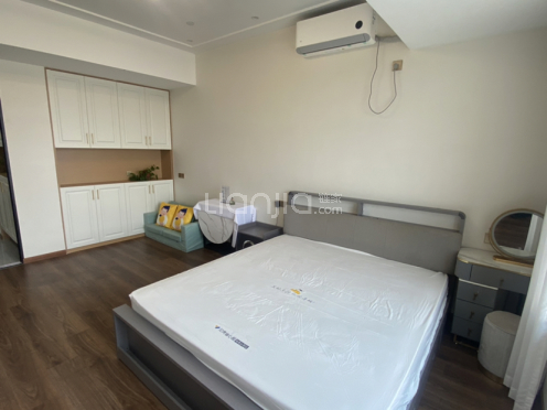 整租·广奕天之星 1室1厅 南