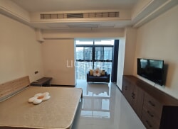 整租·瑞斯丽悦庭 1室0厅 南_瑞斯丽悦庭租房