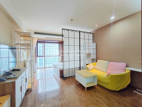 整租·两江国际 1室1厅 东