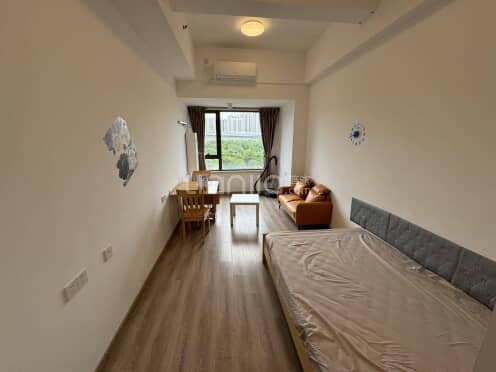 整租·智慧广场 1室1厅 南