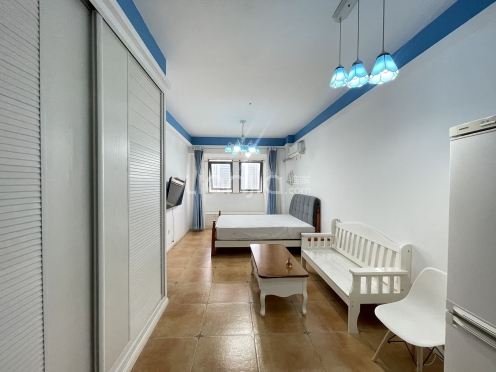 整租·吴江新城吾悦广场 1室1厅 南