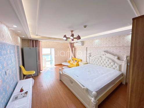 整租·苏州世茂广场（姑苏） 1室1厅 南