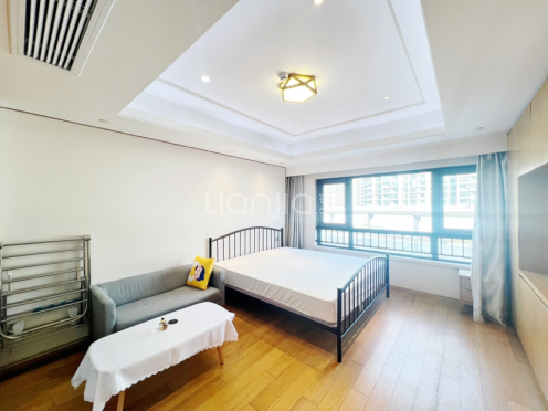 整租·中锐星汇生活广场 1室1厅 北