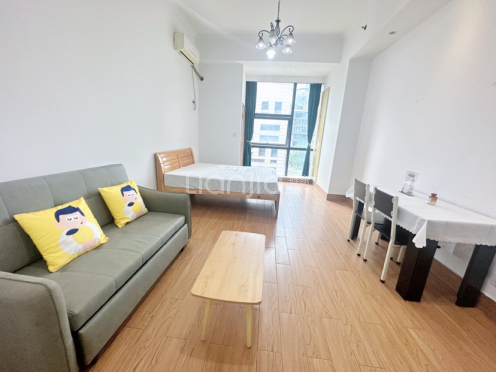 整租·领峯国际 1室1厅 南