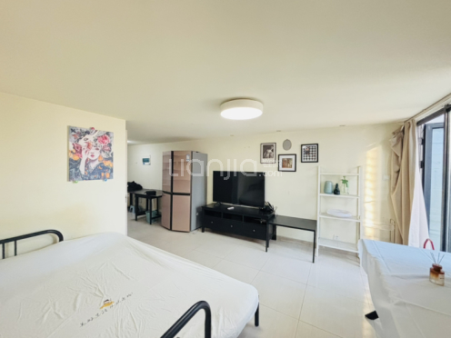 整租·金象城 2室1厅 复式 南