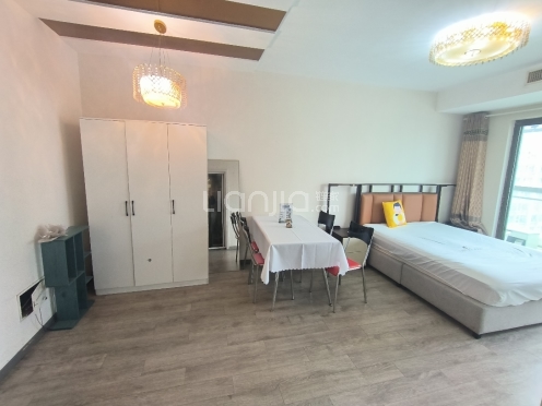 整租·万达广场(姑苏区) 1室1厅 北