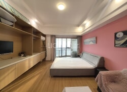 整租·天虹品上中心 1室1厅 东/南_天虹品上中心租房