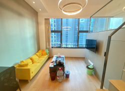 整租·仁恒梦公园 1室1厅 南_仁恒梦公园租房